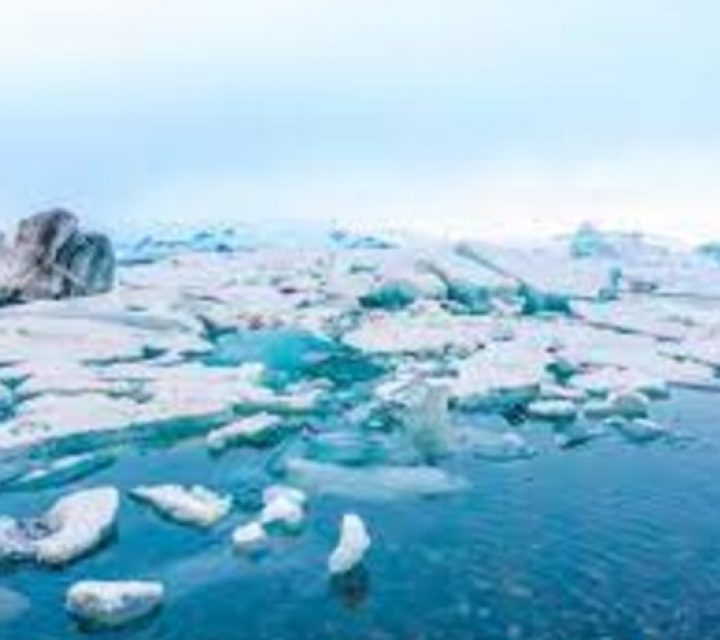 Арктика может лишиться льда в течение пяти лет