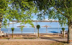 В Беларуси представили карту мест для купания