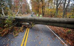 Непогода в начале ноября: какие последствия