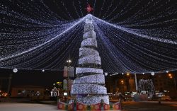 В Минске установят почти 30 новогодних елей