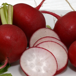 Время редиски. Какие холодостойкие культуры можно сеять в конце марта?