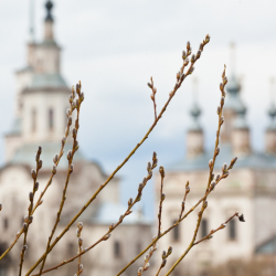 Вербное воскресенье-2025: не совершайте эти 5 ошибок