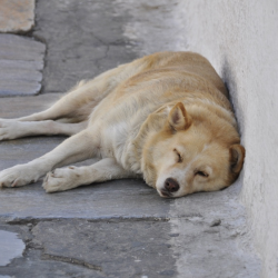 Как бороться с хронической усталостью: собрали проверенные способы