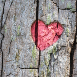 Как понять, что у вас проблемы с сердцем: 10 ранних признаков