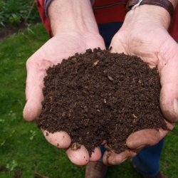В Беларуси создают экологичные удобрения из пищевых отходов и ила