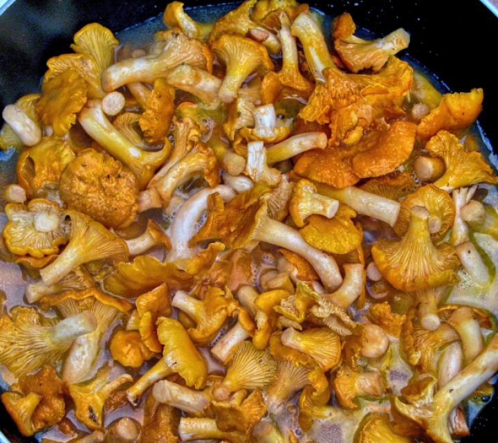 Лисички — не только вкусно, но и полезно: рецепты и декор для вашего стола