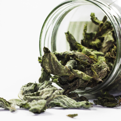 Как правильно использовать пряности и травы в летней кухне: советы от шеф-поваров