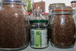 Мошенники находят легкую добычу: милиция призывает пожилых белорусов не копить наличку дома