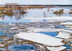 Весеннее половодье набирает силу в Беларуси