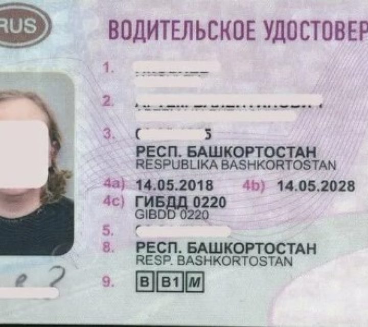 Мошенники предлагают белорусам купить водительские права за пару дней