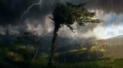 Синоптики предупредили белорусов о грозах и дождях 31 марта