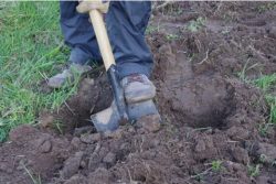 Не берите в руки лопату: как спасти участок от превращения в бетон