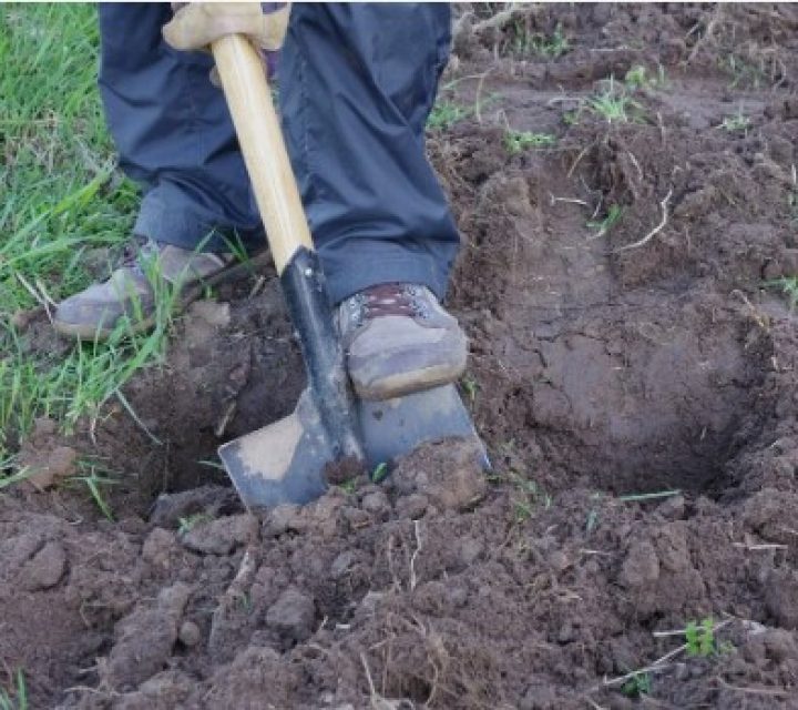 Не берите в руки лопату: как спасти участок от превращения в бетон