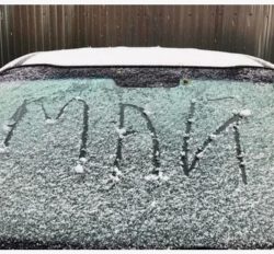 Май встречает белорусов заморозками вместо тепла