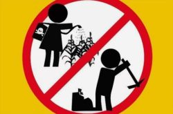 Минтруда снимает запрет с подростков на работу трактористами