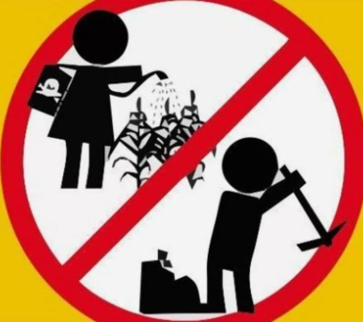 Минтруда снимает запрет с подростков на работу трактористами